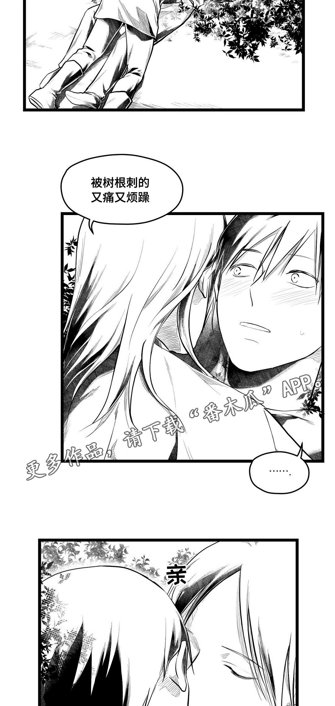 巫师与王子漫画,第71章：命运2图