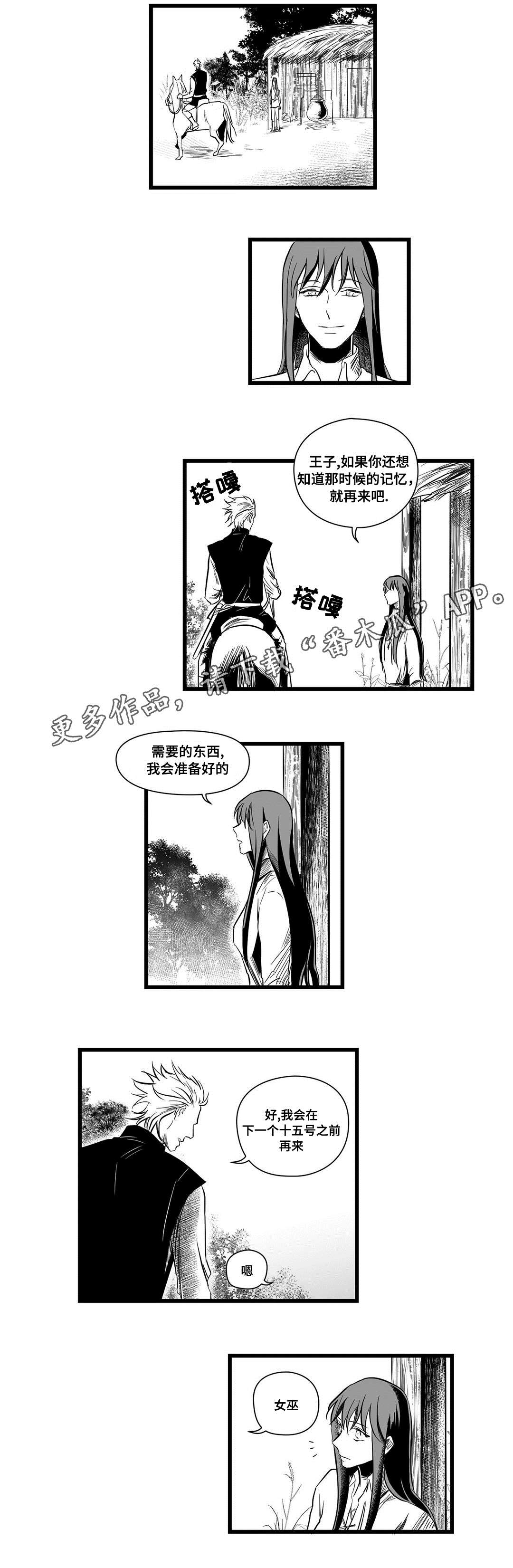巫师与王子漫画,第11章：秘密5图