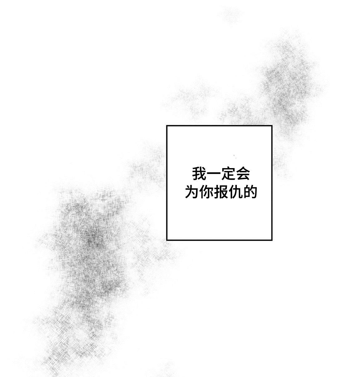 巫师与王子漫画,第34章：下毒4图