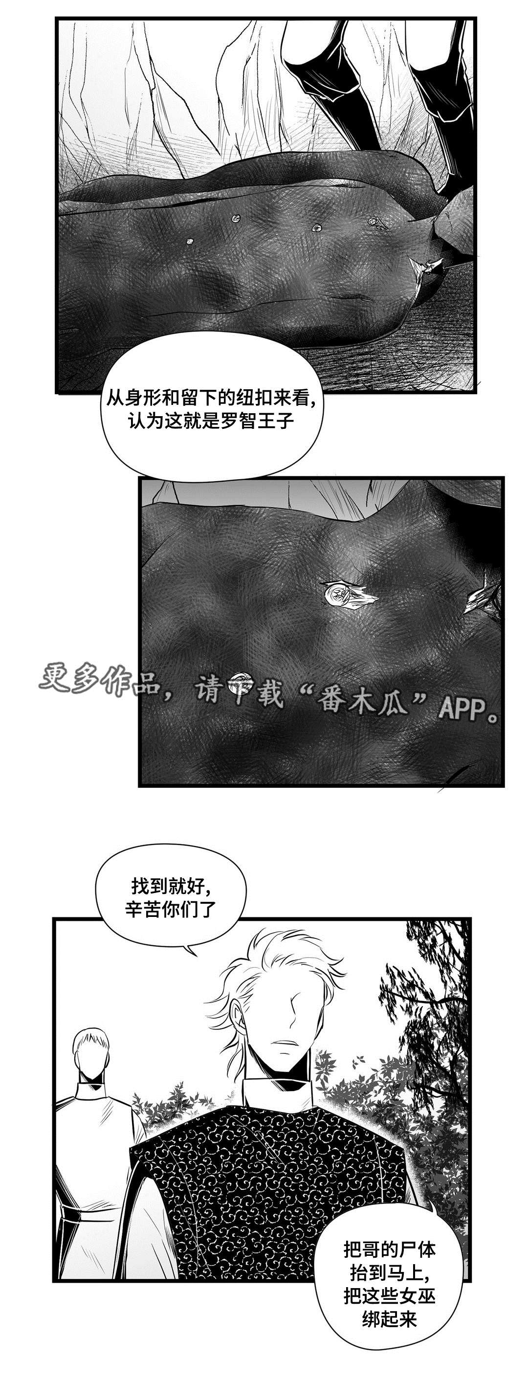 巫师与王子漫画,第33章：来了啊5图