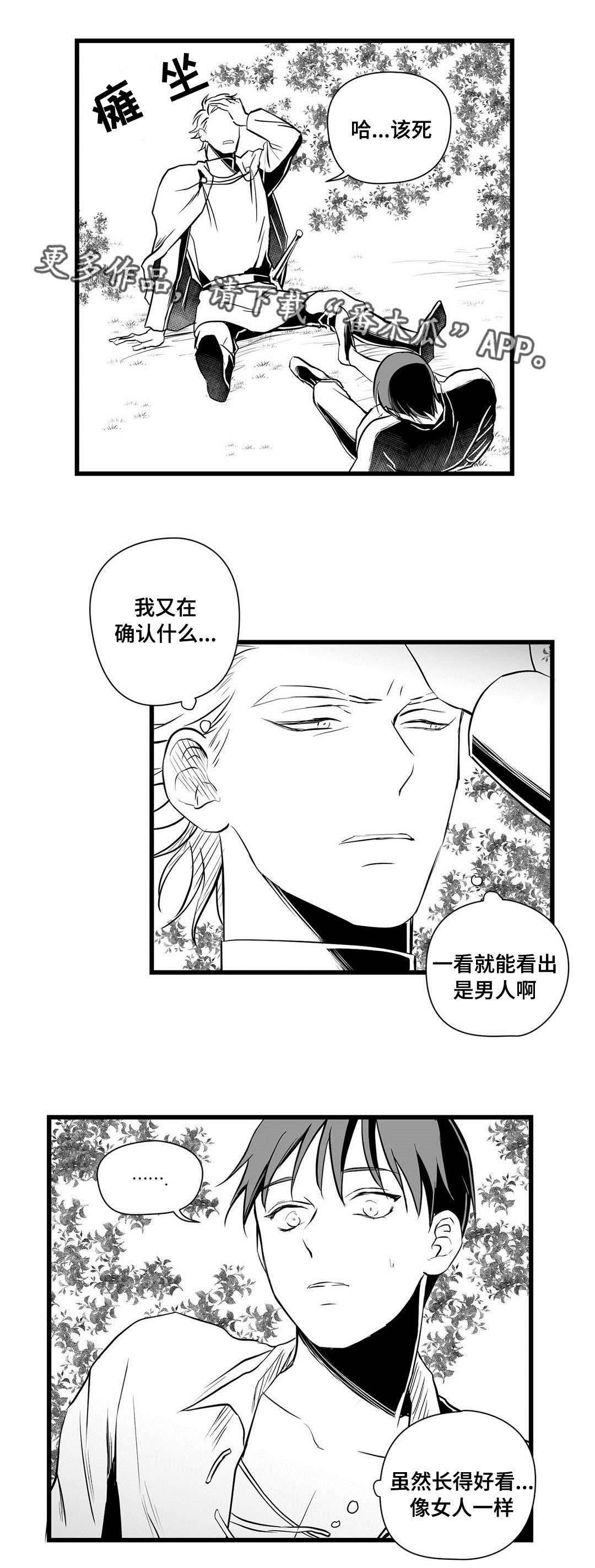 巫师与王子漫画,第28章：收获2图