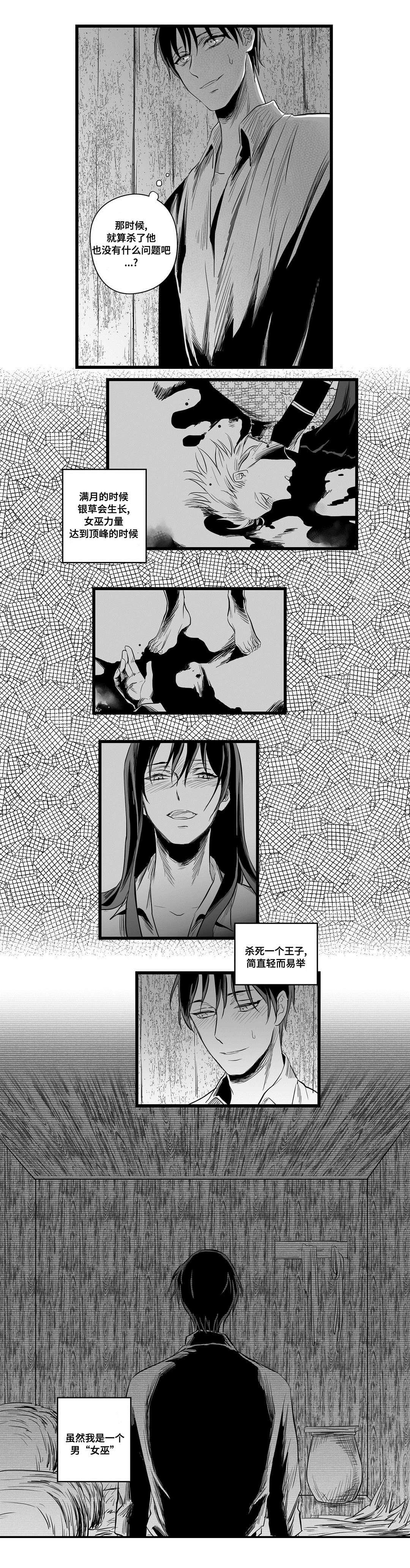 巫师与王子漫画,第3章：特别4图