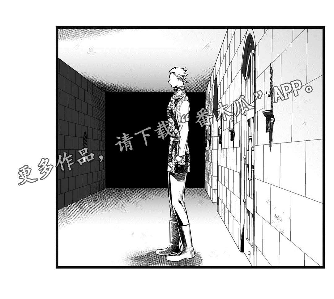 巫师与王子漫画,第49章：守护4图