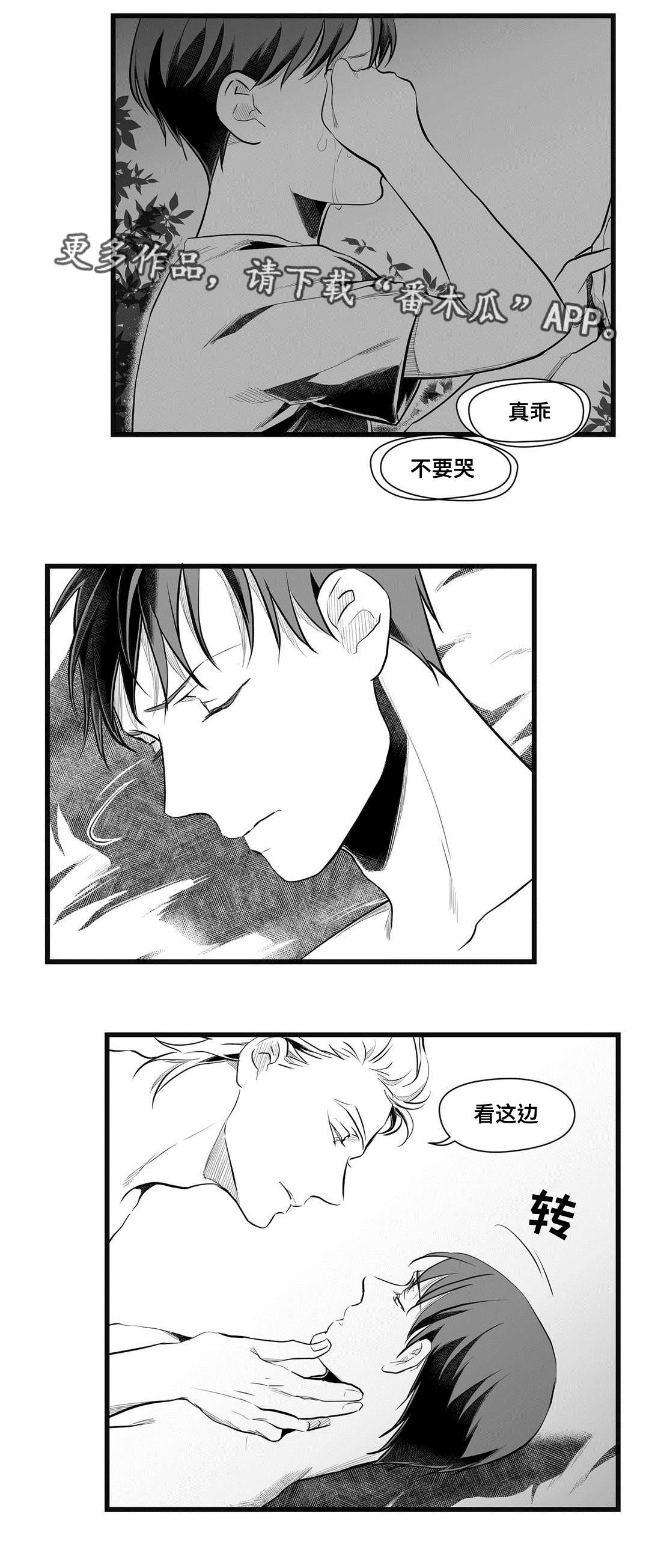 巫师与王子漫画,第49章：守护4图