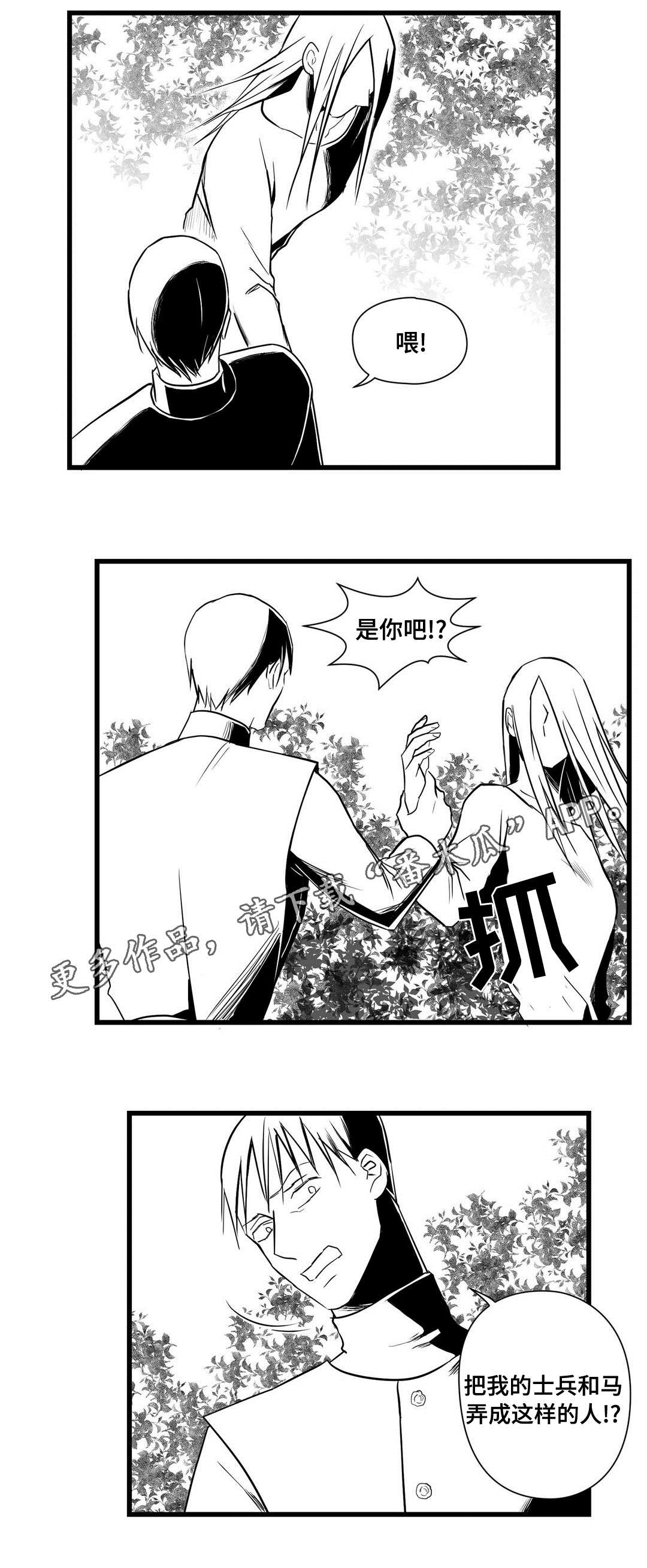 巫师与王子漫画,第27章：犯人2图