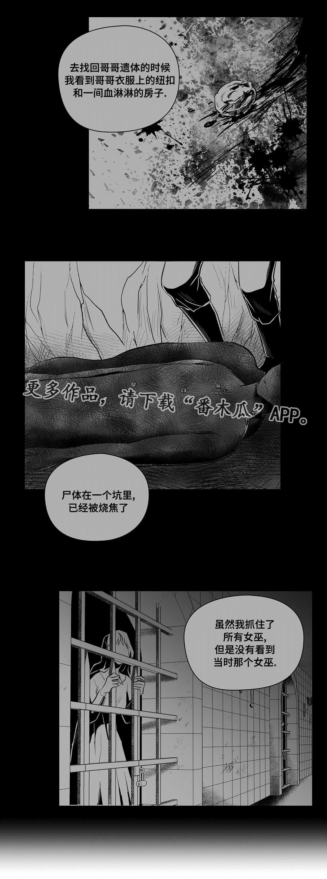 巫师与王子漫画,第48章：麻烦1图