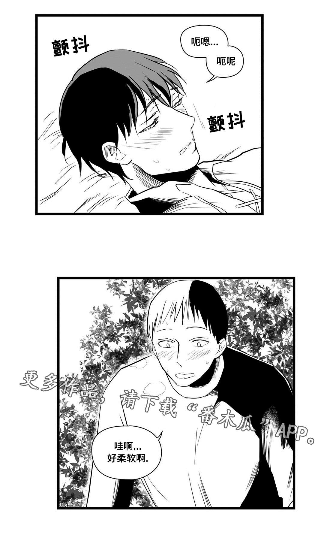 巫师与王子漫画,第20章：祭品3图