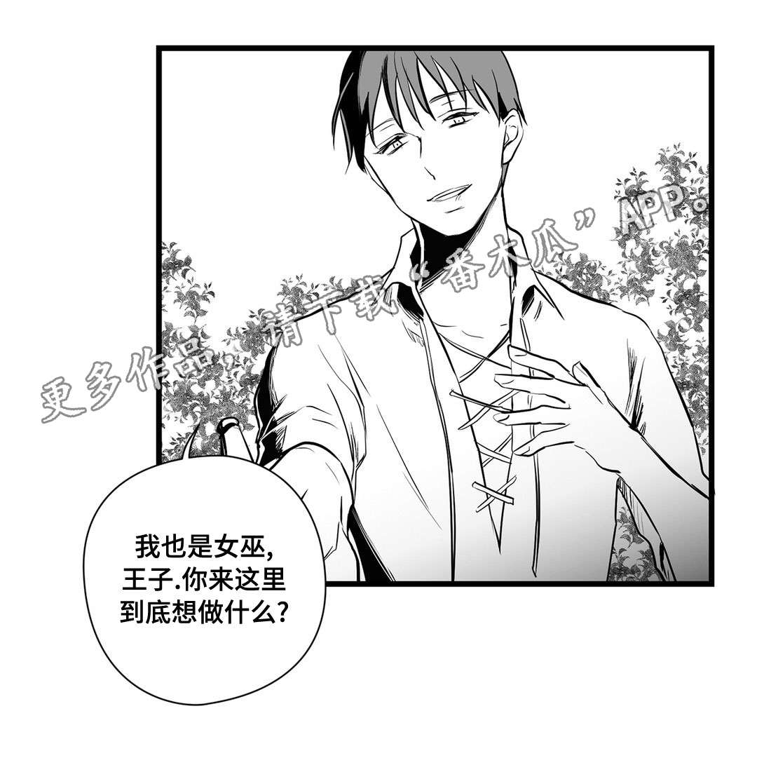 巫师与王子漫画,第24章：诡异4图