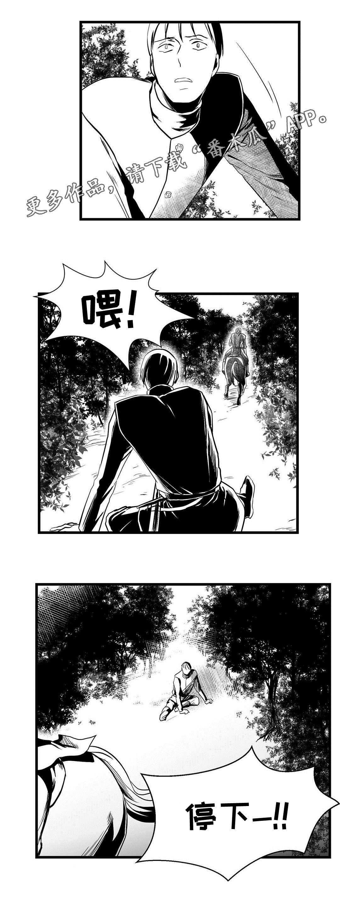 巫师与王子漫画,第24章：诡异5图