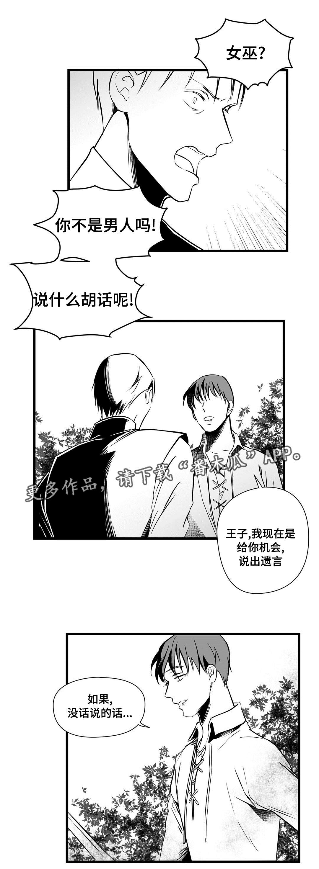巫师与王子漫画,第25章：毒药4图