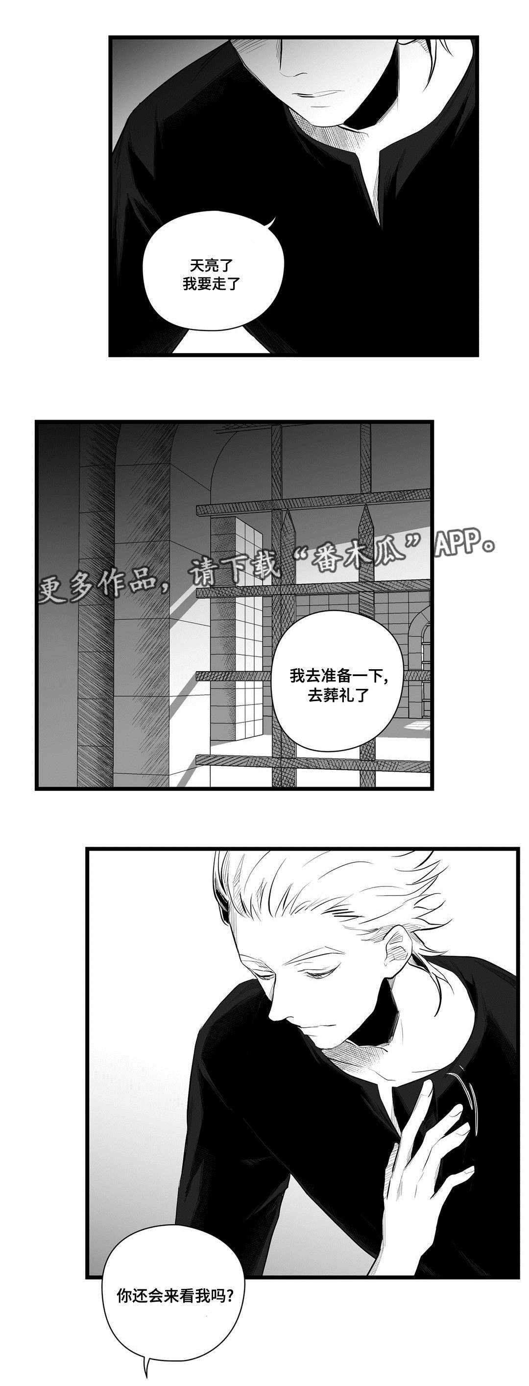 巫师与王子漫画,第41章：何去何从3图
