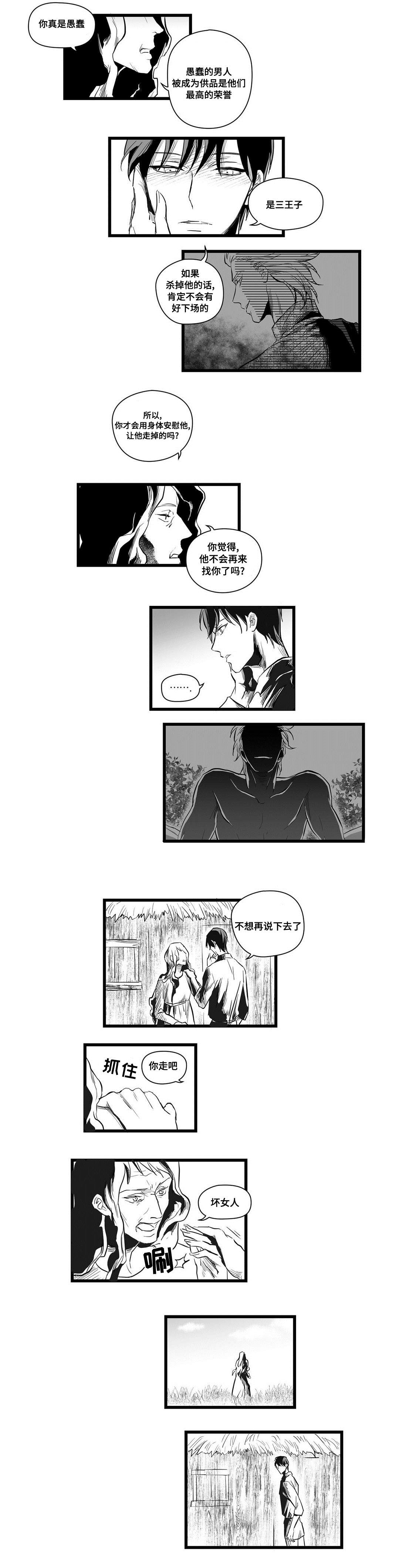 巫师与王子漫画,第3章：特别1图