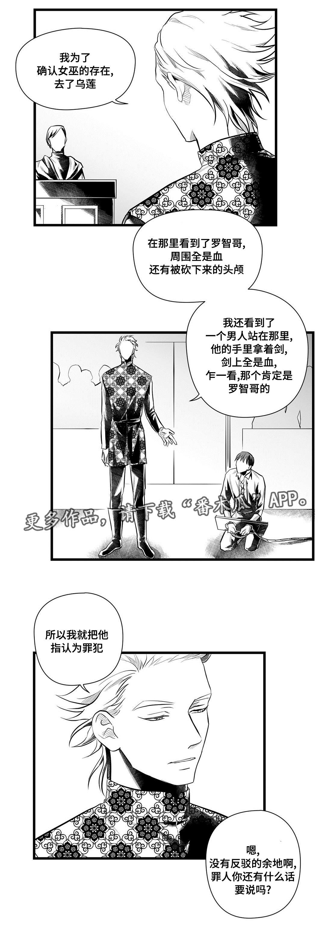 巫师与王子漫画,第47章：审判1图