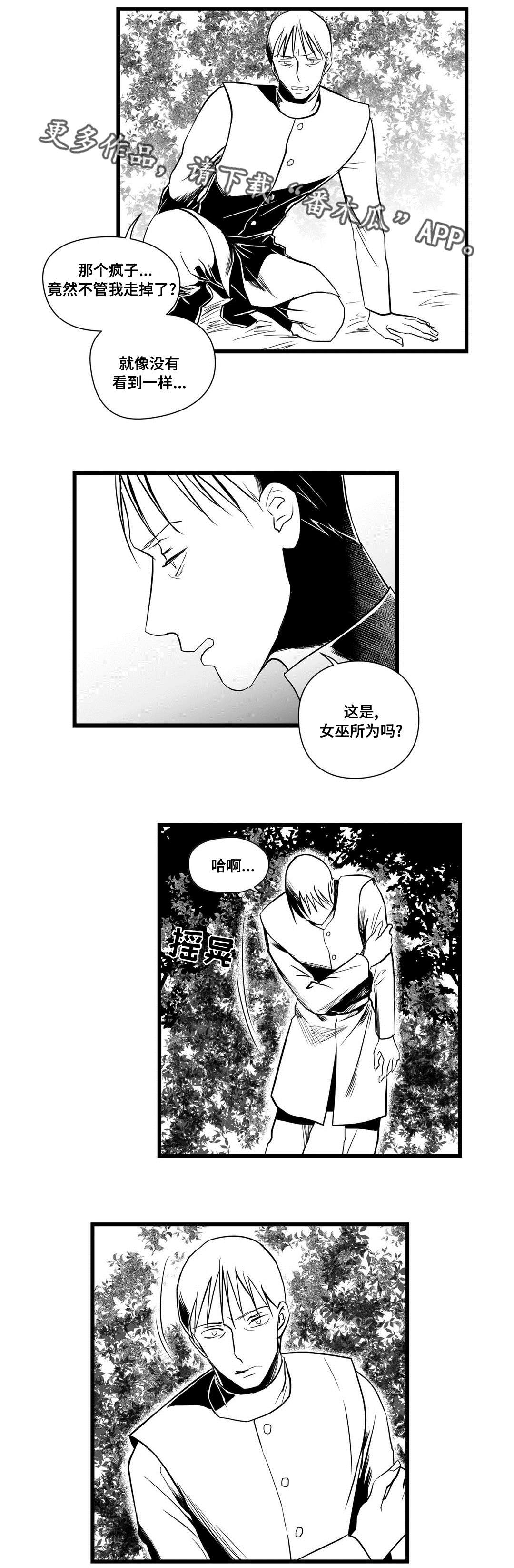 巫师与王子漫画,第26章：吓唬5图