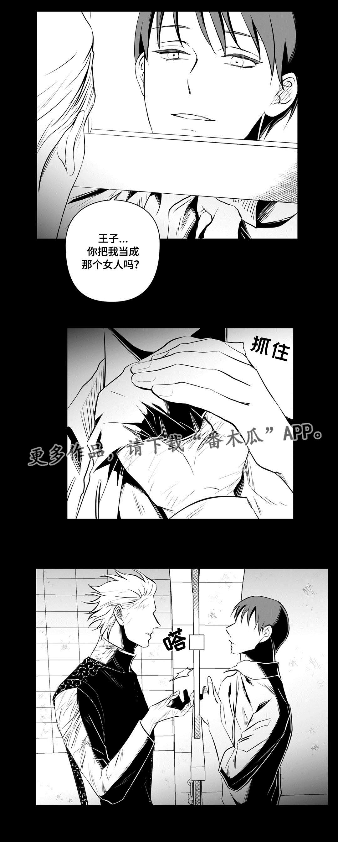 巫师与王子漫画,第35章：一模一样3图
