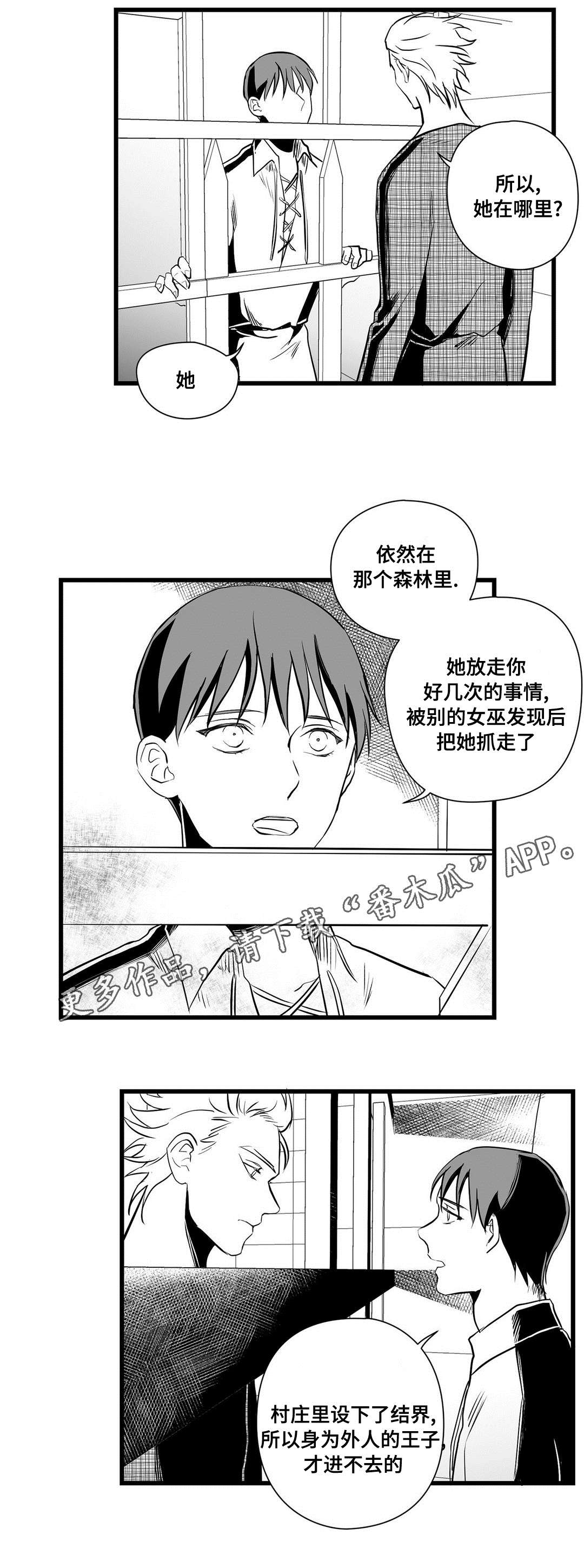 巫师与王子漫画,第31章：那个女人5图