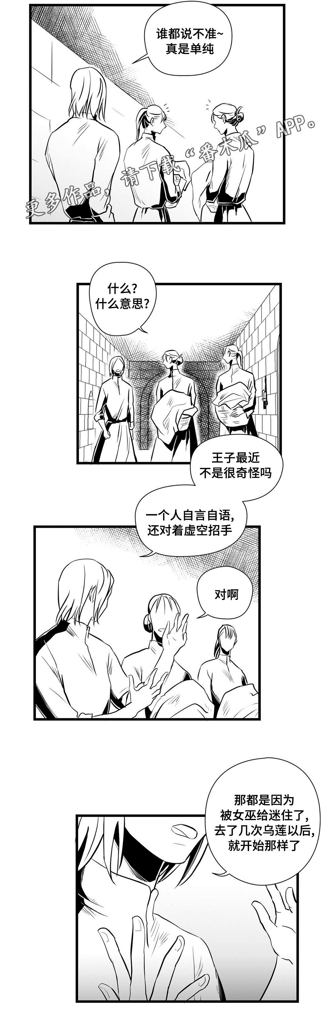 巫师与王子漫画,第32章：猜想2图