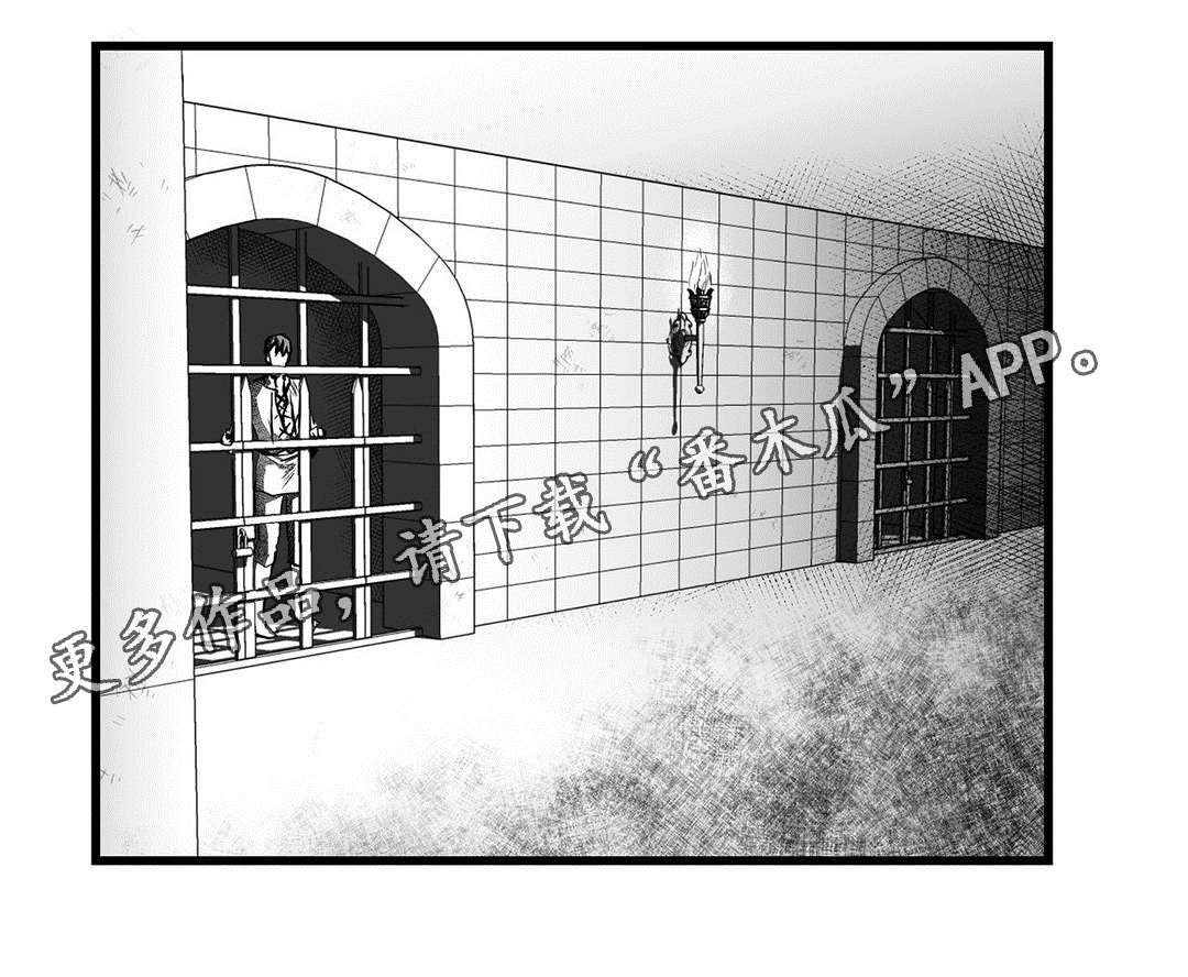 巫师与王子漫画,第31章：那个女人3图