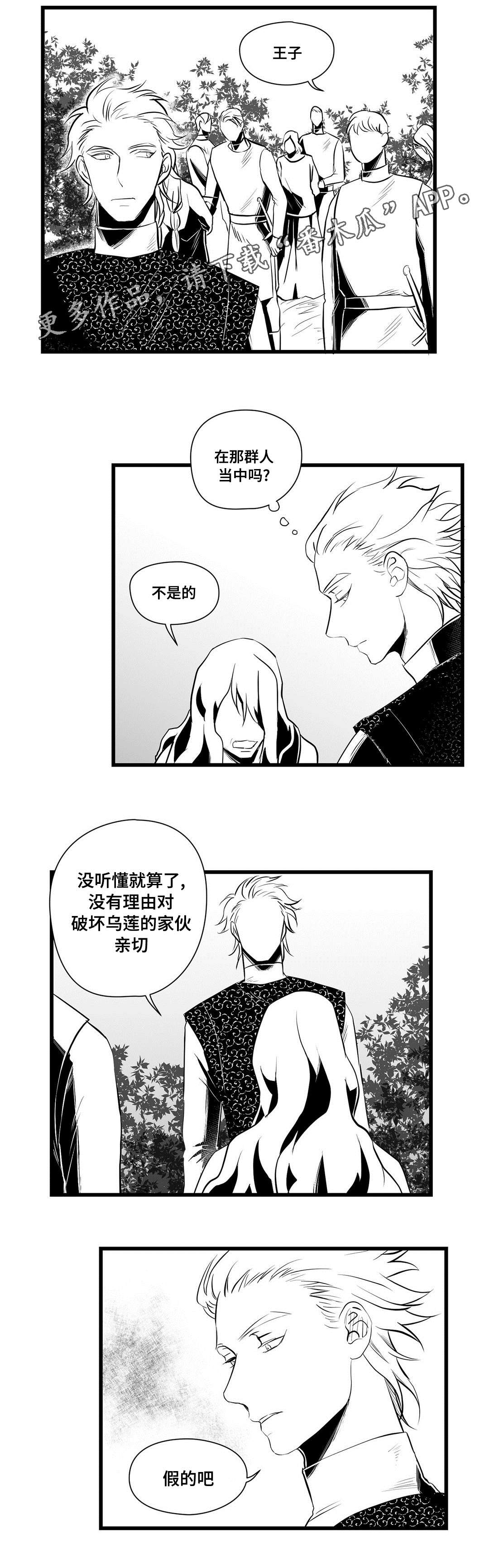 巫师与王子漫画,第33章：来了啊2图