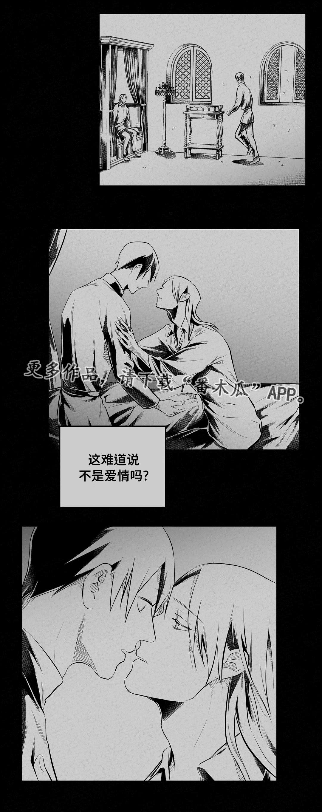 巫师与王子漫画,第63章：爱情5图
