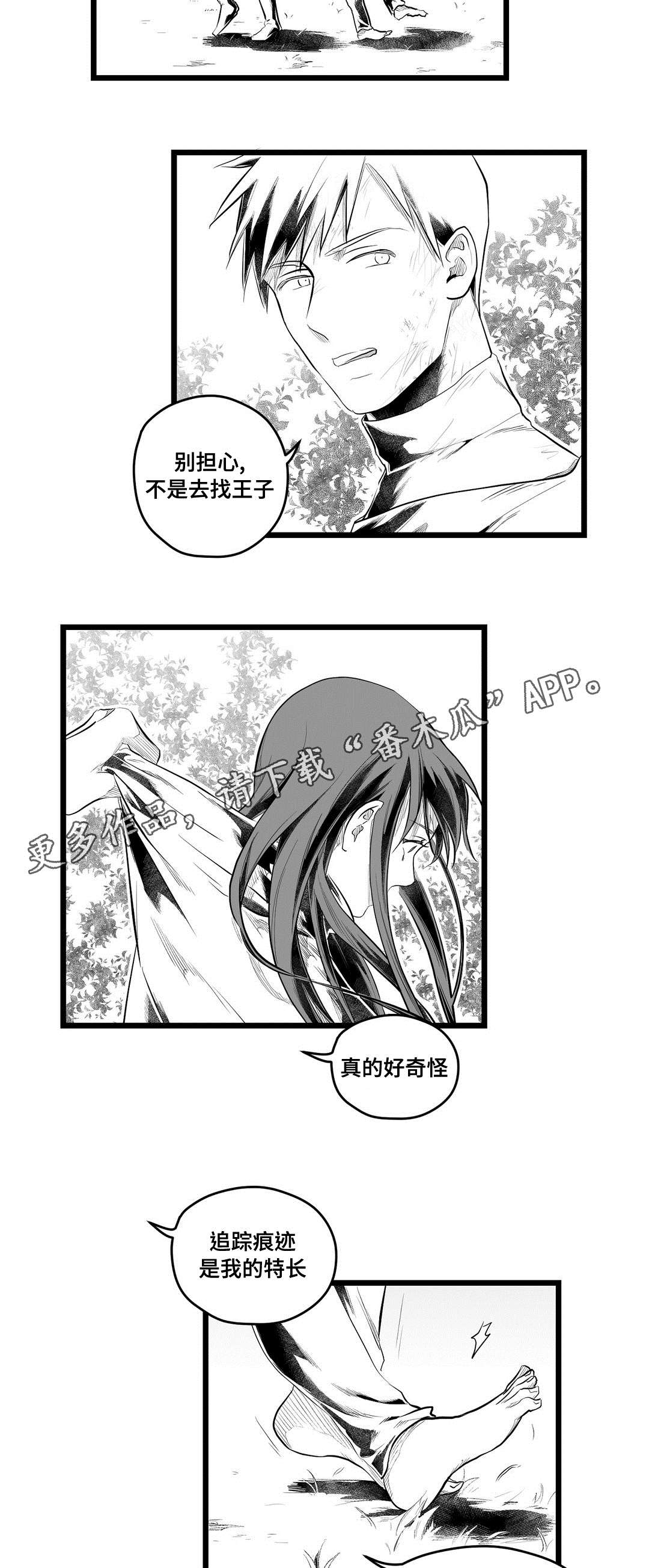 巫师与王子漫画,第87章：抓住2图