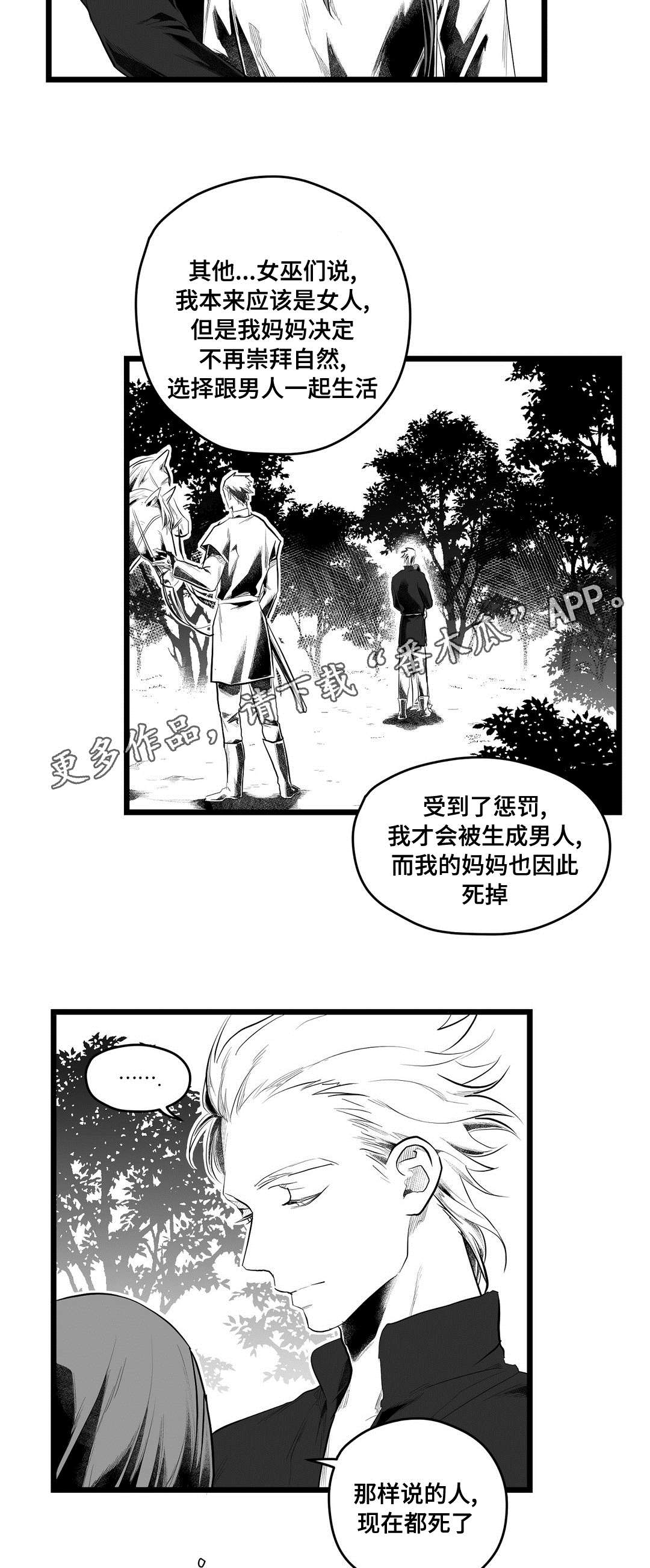 巫师与王子漫画,第84章：十五5图