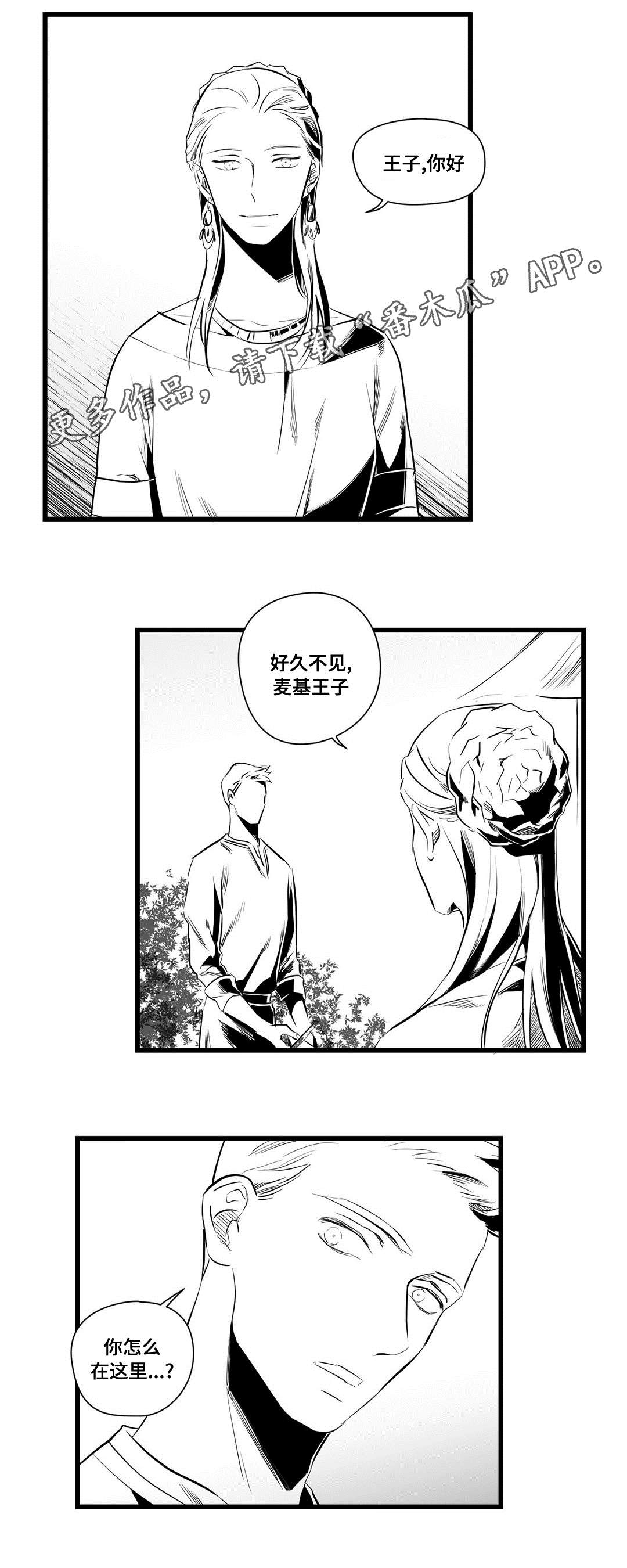 巫师与王子漫画,第36章：隐瞒着什么1图