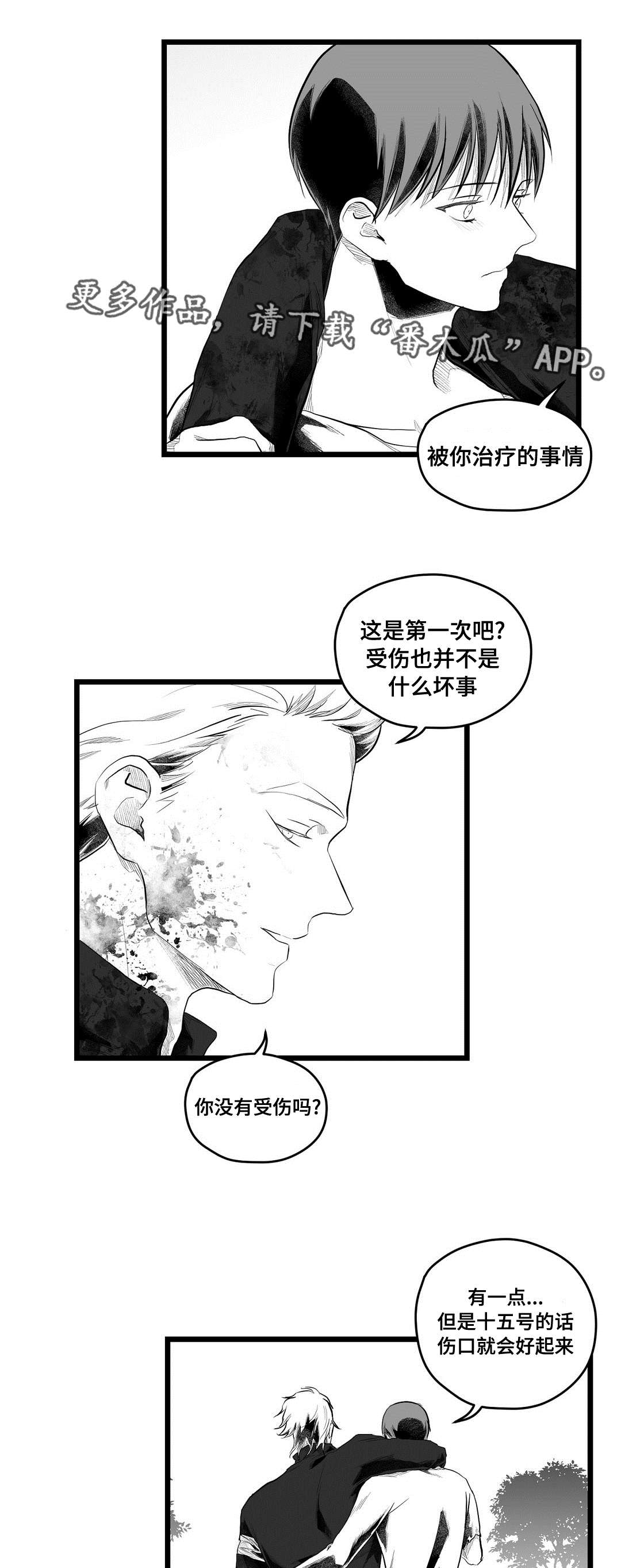 巫师与王子漫画,第91章：未来5图
