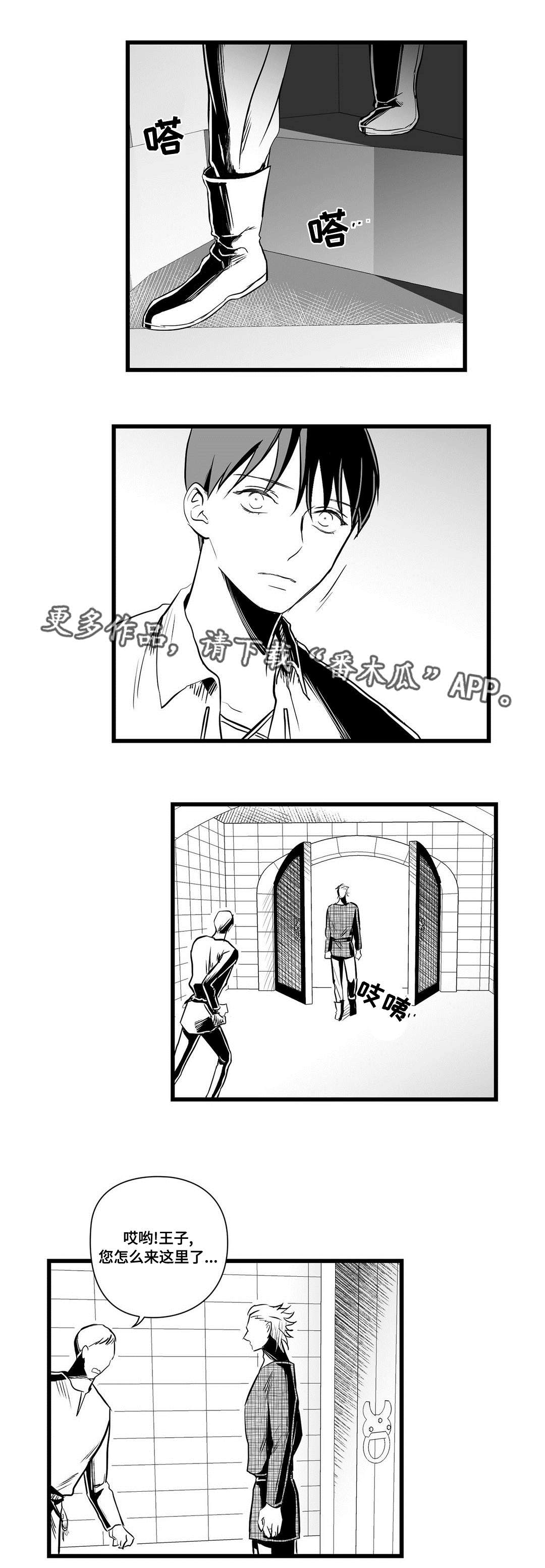 巫师与王子漫画,第31章：那个女人1图