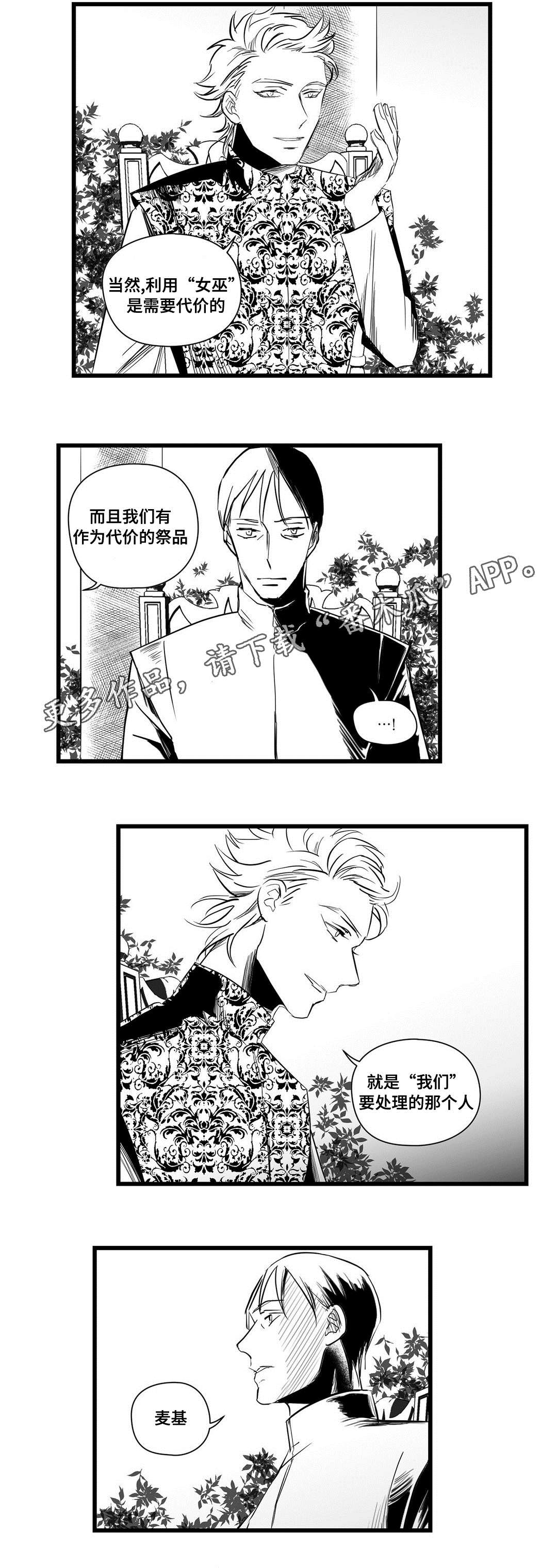 巫师与王子漫画,第20章：祭品3图