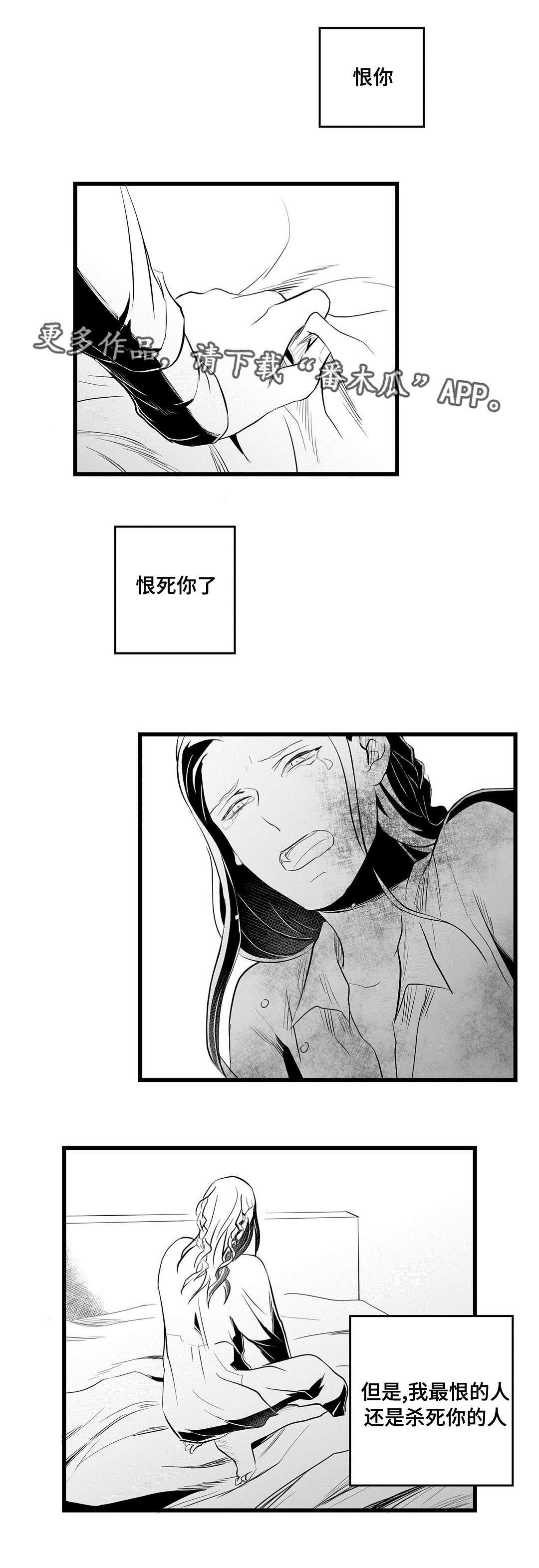 巫师与王子漫画,第34章：下毒3图