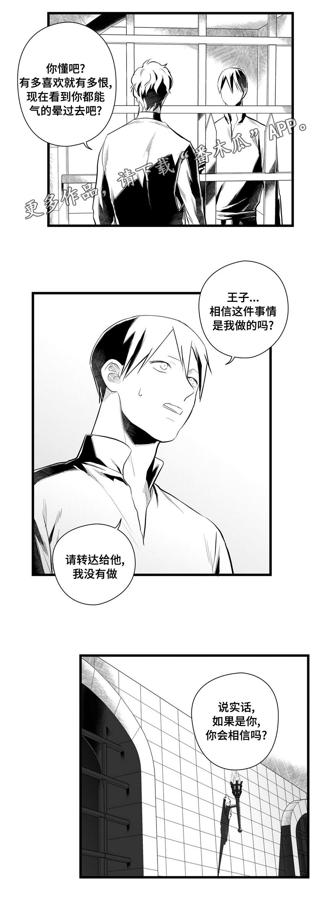 巫师与王子漫画,第43章：醒了4图