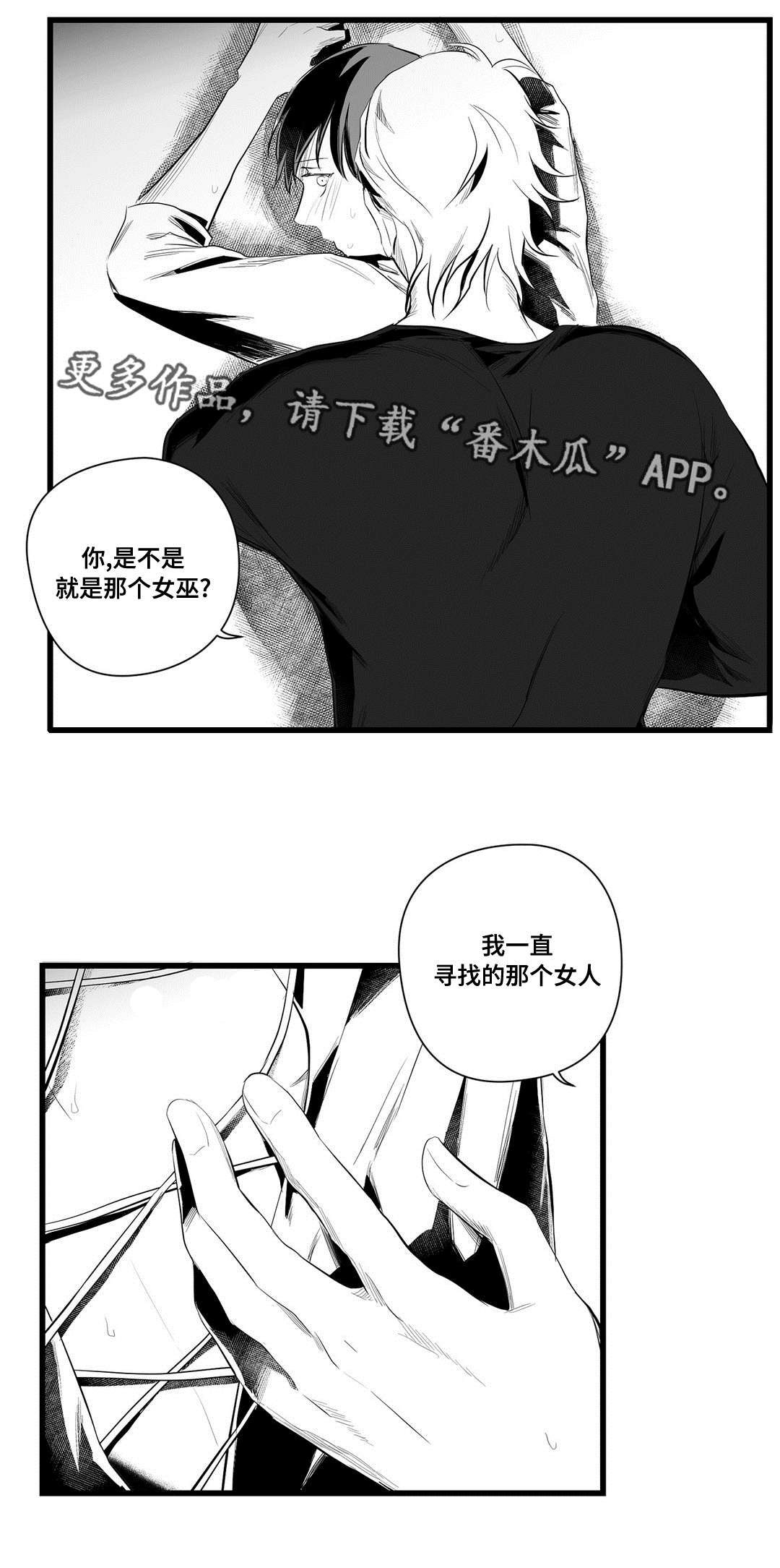 巫师与王子漫画,第40章：在一起2图