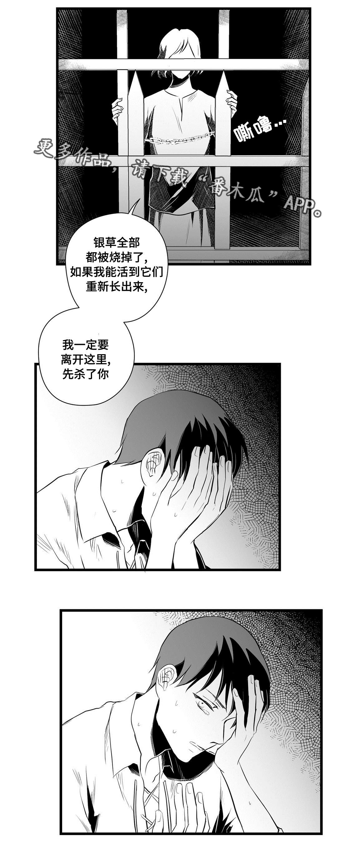 巫师与王子漫画,第35章：一模一样4图