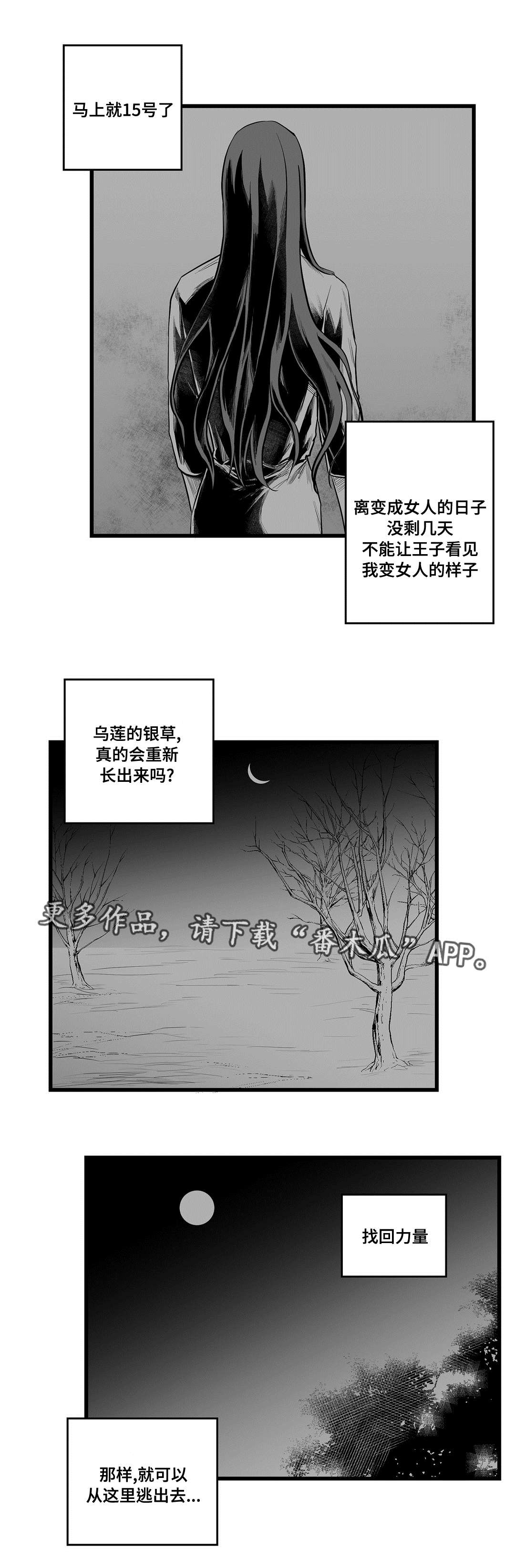 巫师与王子漫画,第41章：何去何从4图