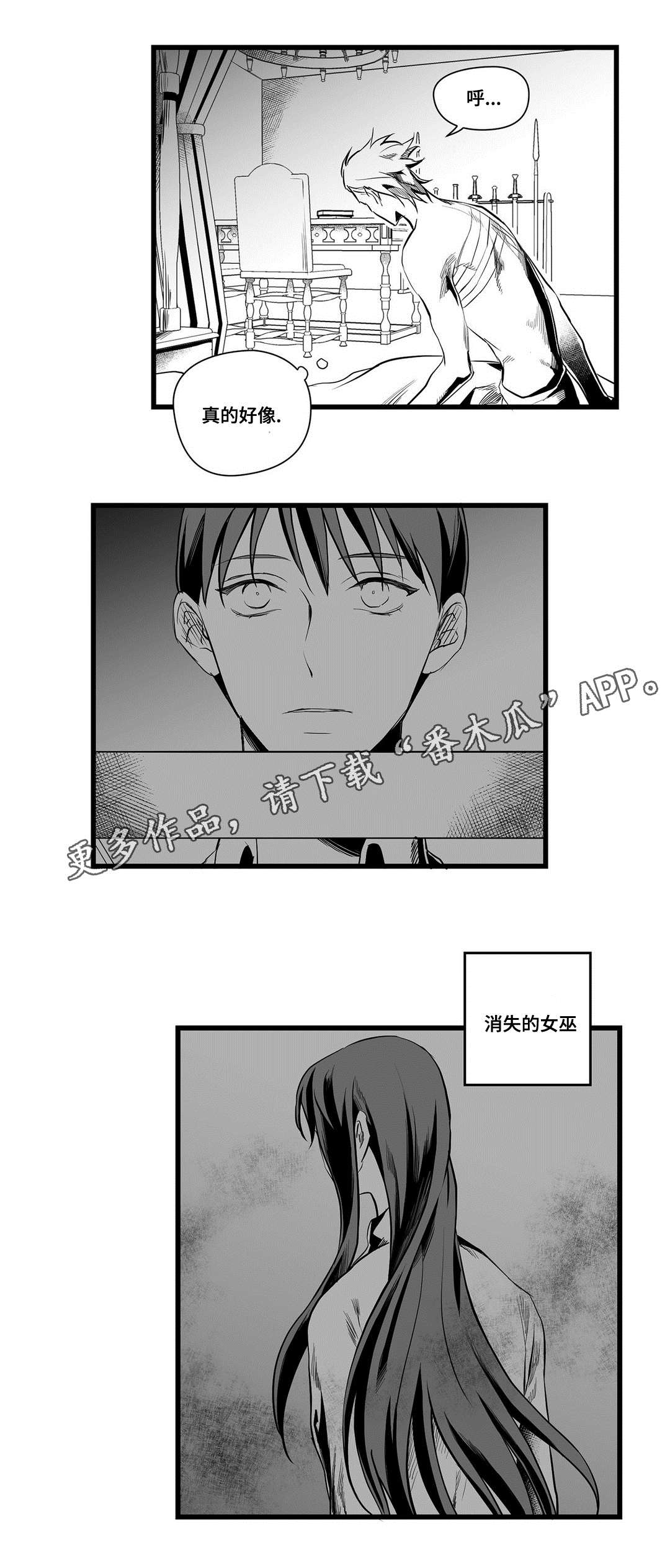 巫师与王子漫画,第36章：隐瞒着什么3图