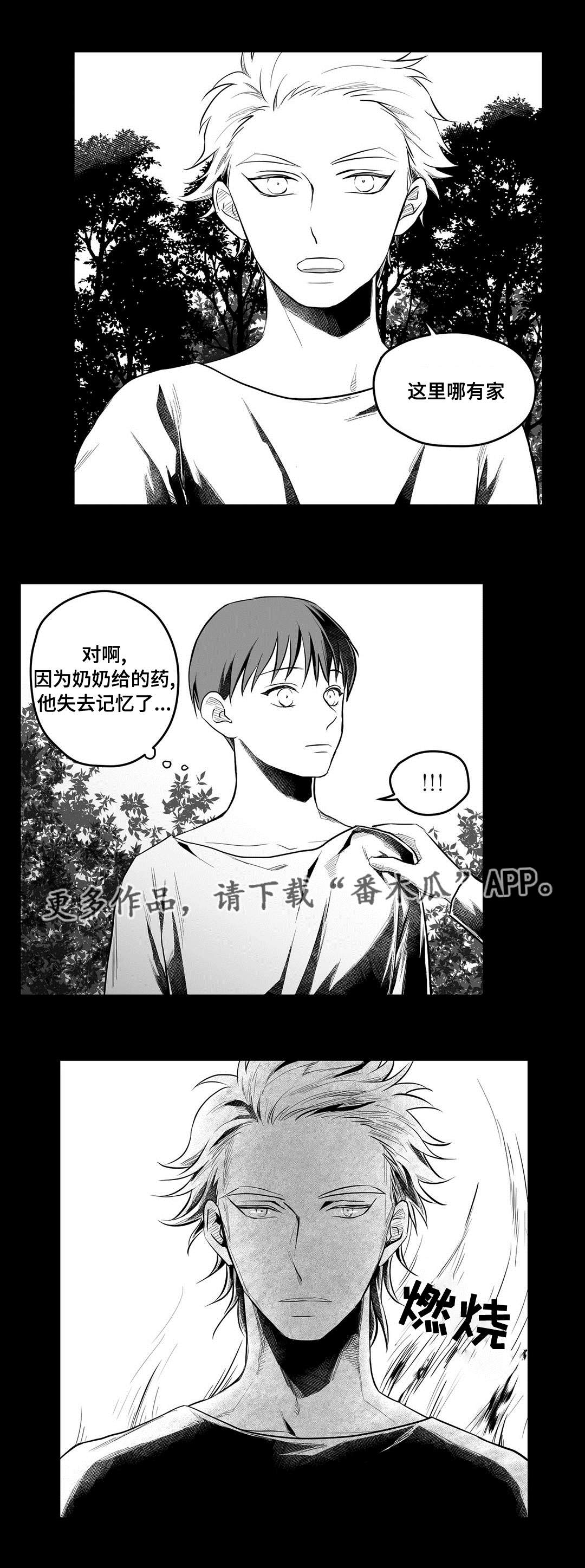 巫师与王子漫画,第53章：无法理解4图