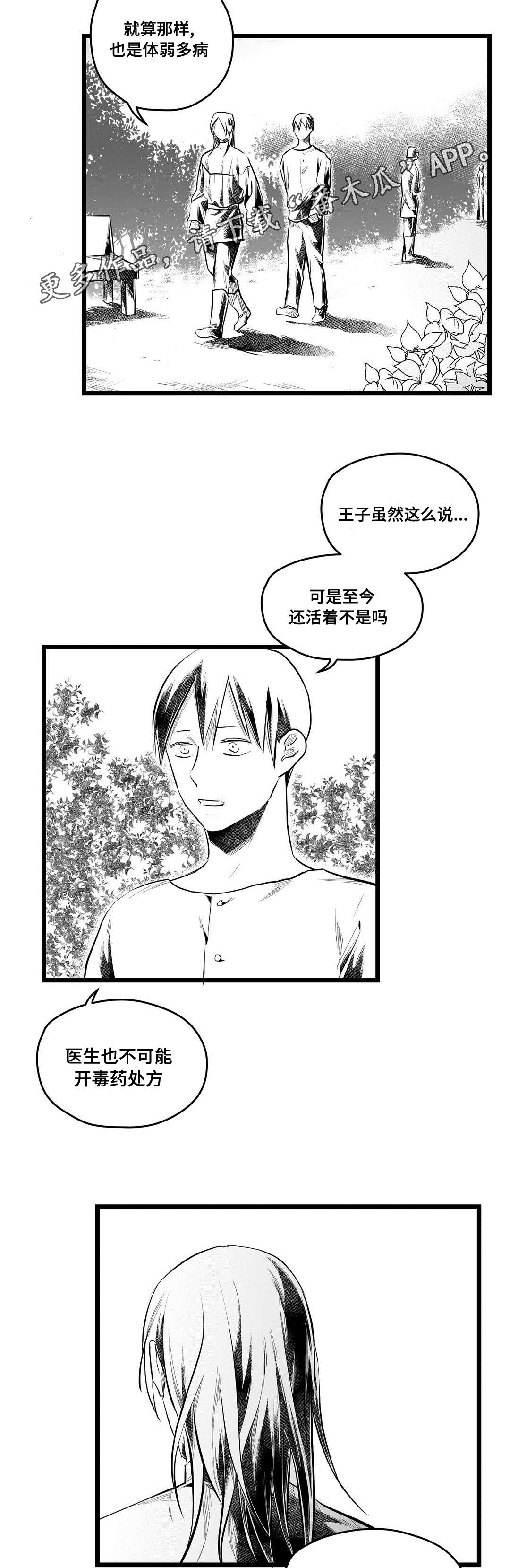 巫师与王子漫画,第70章：关心4图