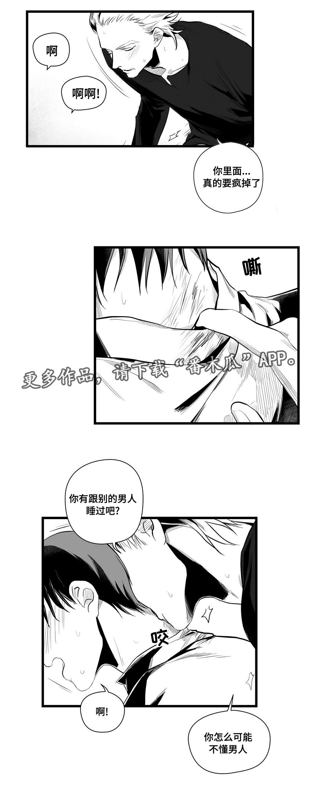 巫师与王子漫画,第40章：在一起4图