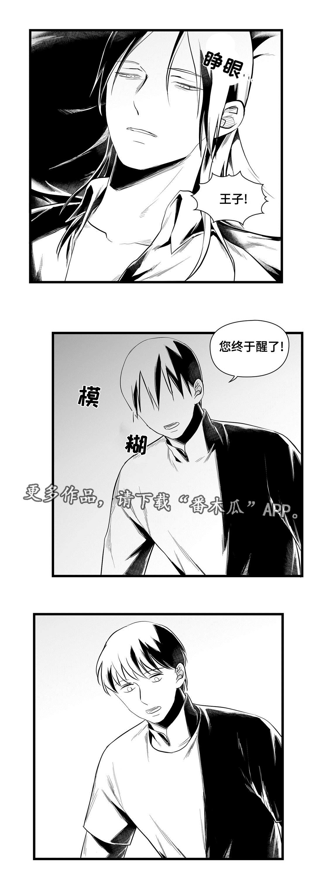 巫师与王子漫画,第41章：何去何从4图