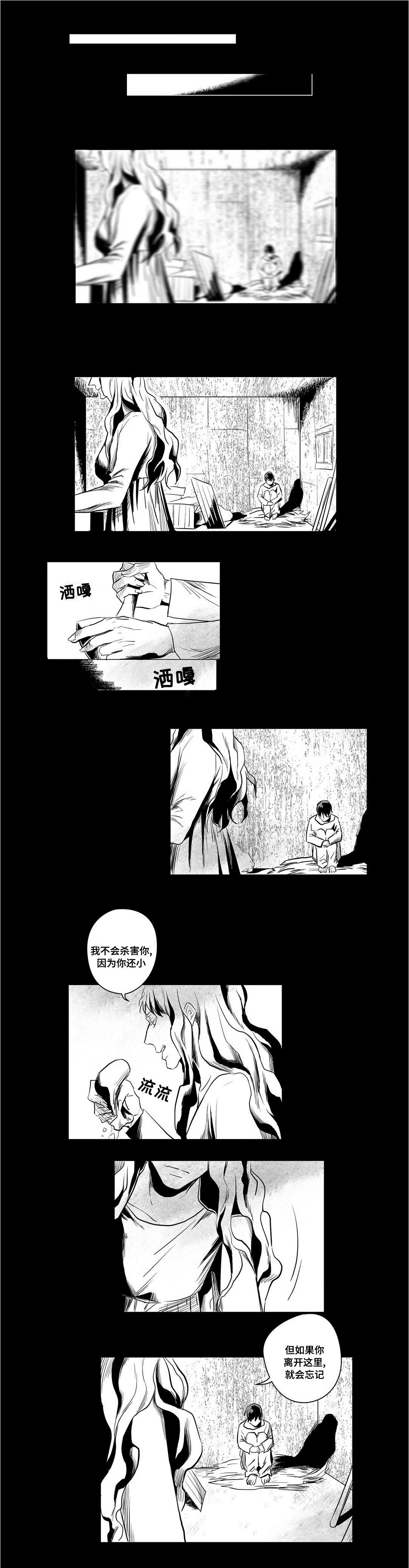 巫师与王子漫画,第4章：记忆1图