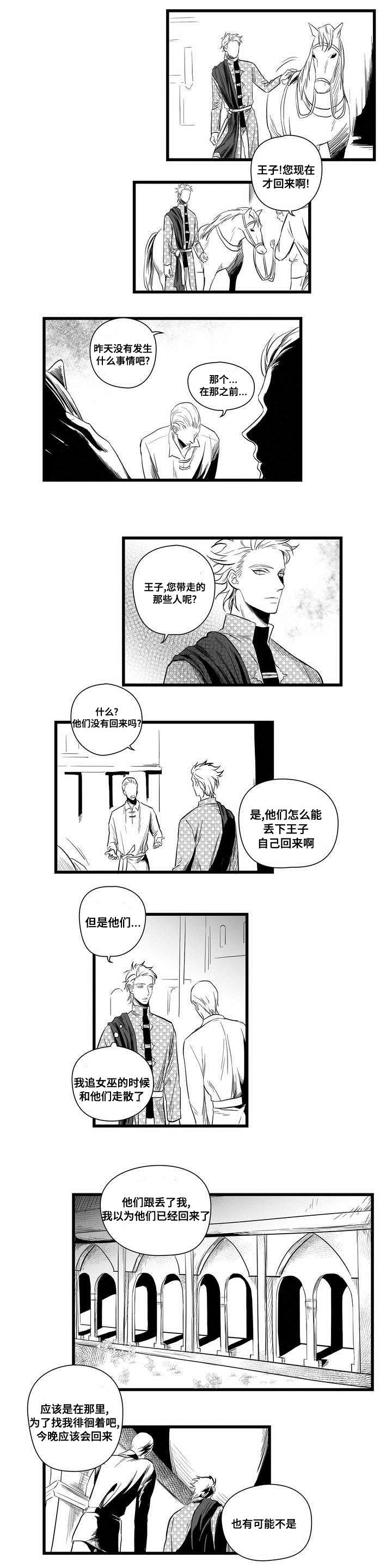 巫师与王子漫画,第2章：失踪的士兵5图