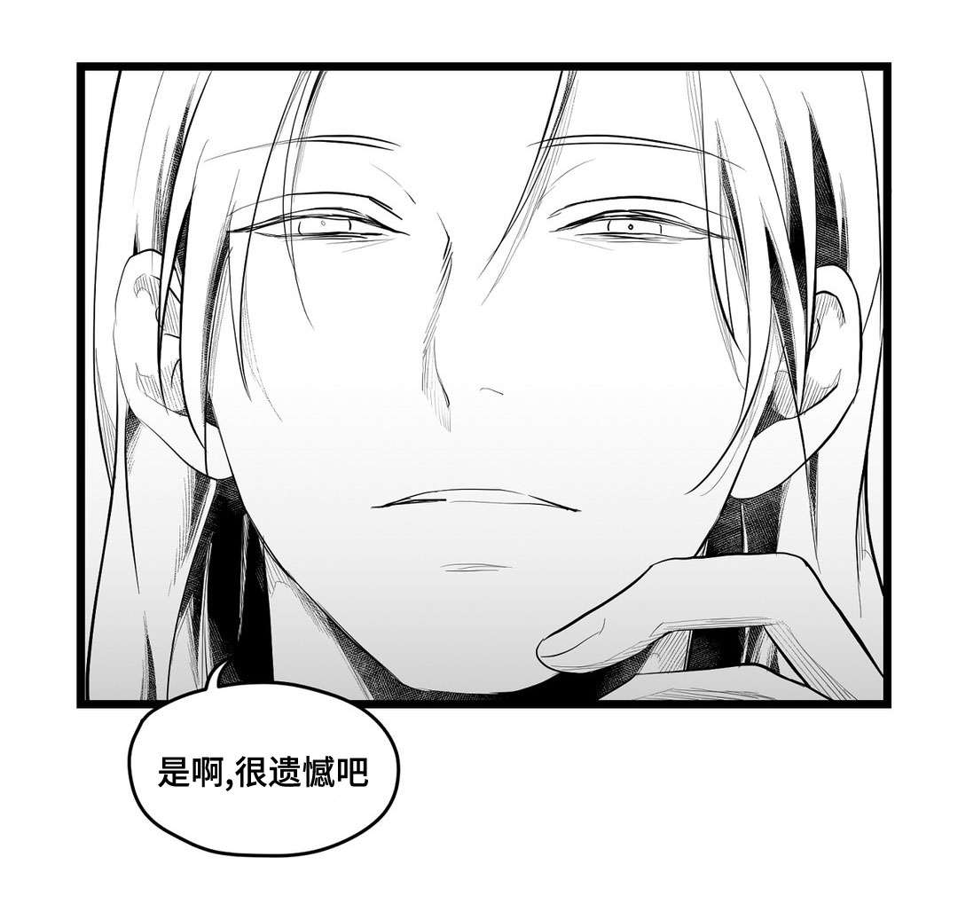 巫师与王子漫画,第75章：见面2图