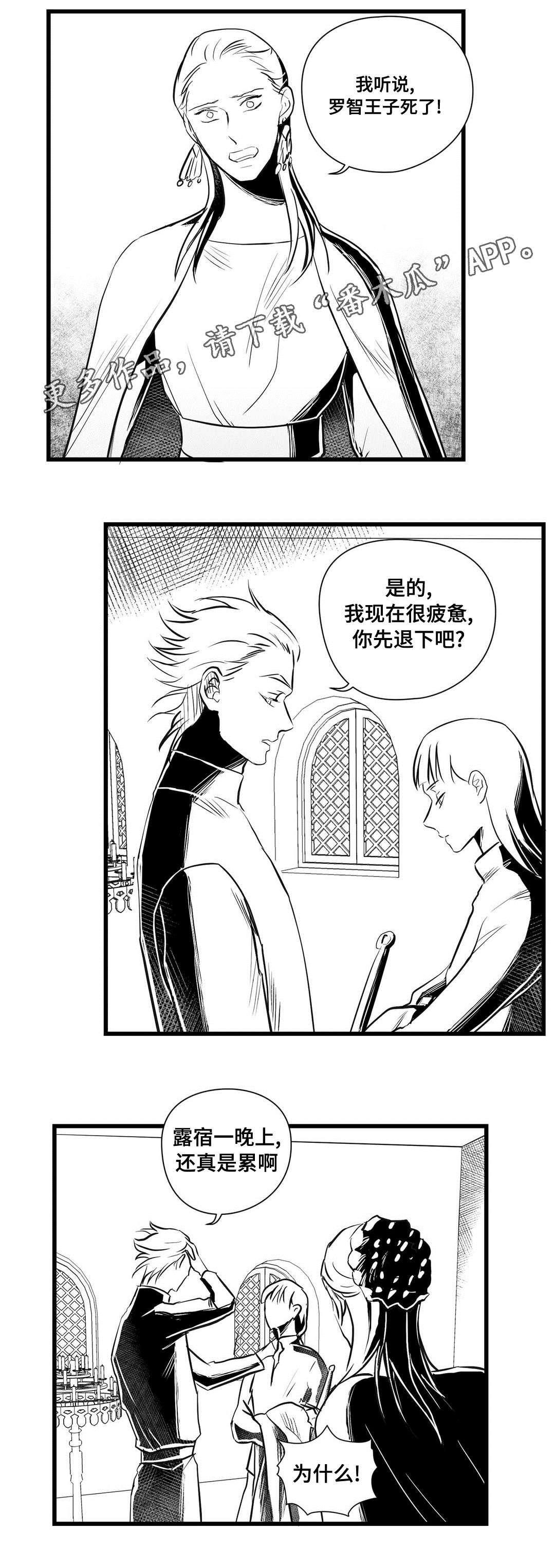 巫师与王子漫画,第30章：监狱1图