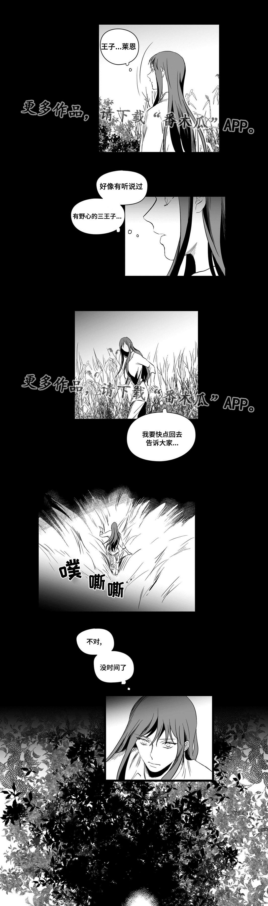 巫师与王子漫画,第12章：错误的决定2图