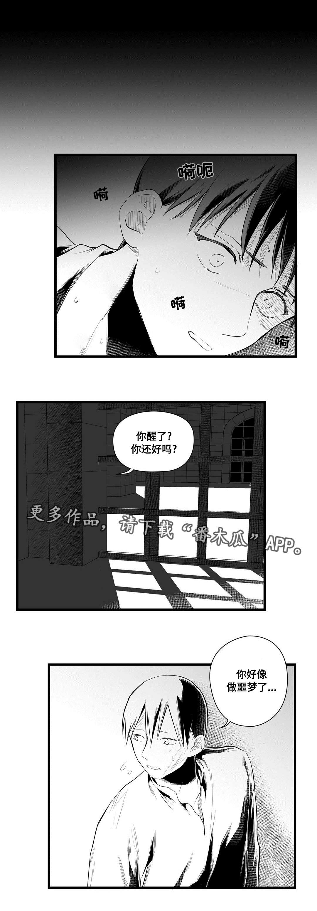 巫师与王子漫画,第42章：葬礼4图