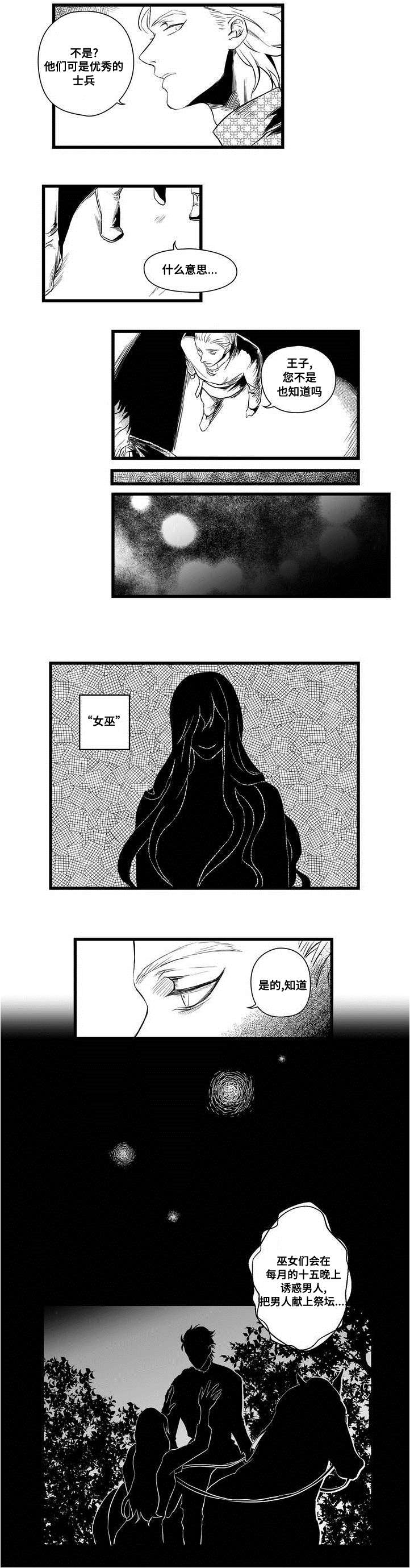 巫师与王子漫画,第2章：失踪的士兵1图