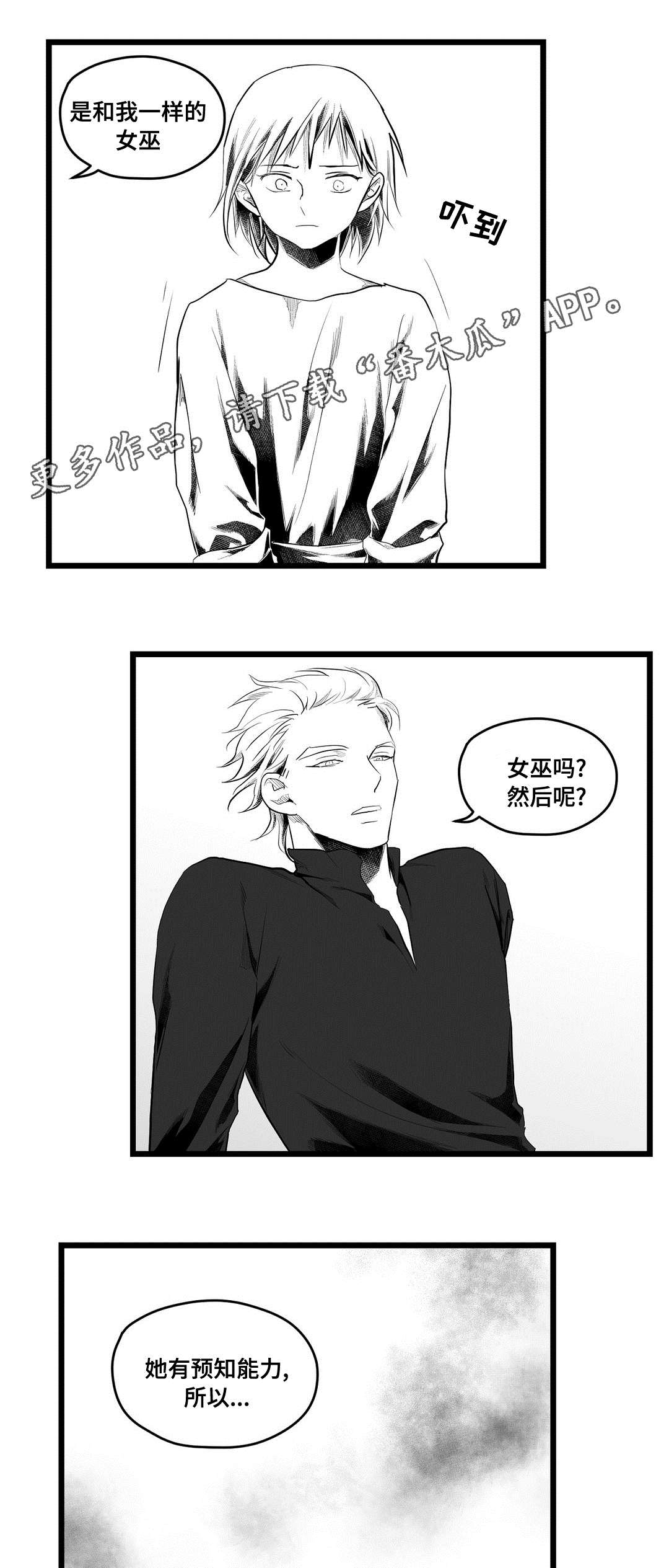 巫师与王子漫画,第80章：骗子1图