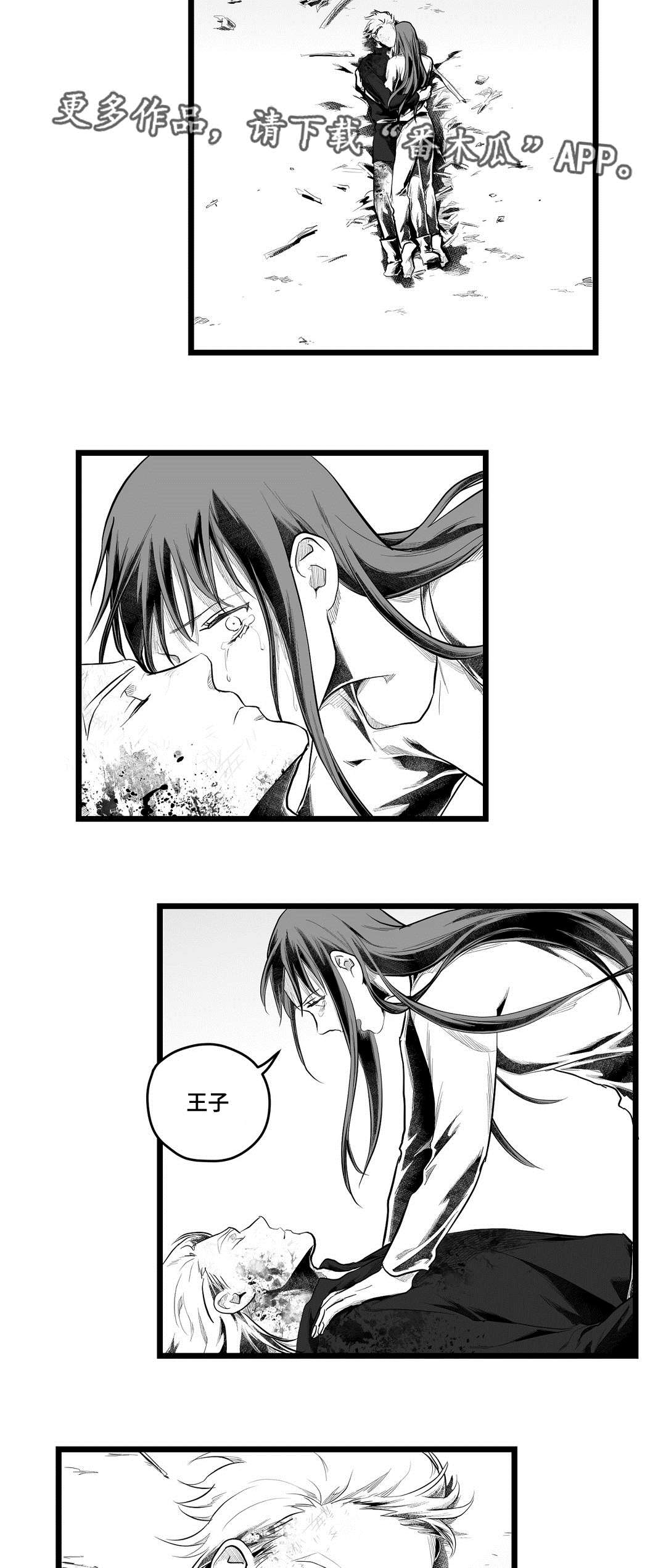 巫师与王子漫画,第89章：坠崖4图