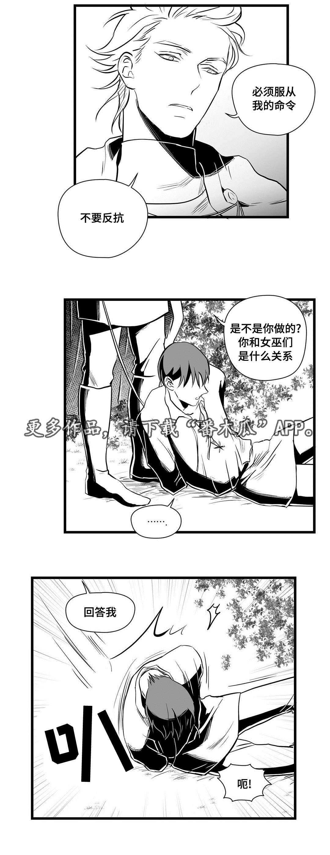 巫师与王子漫画,第28章：收获5图